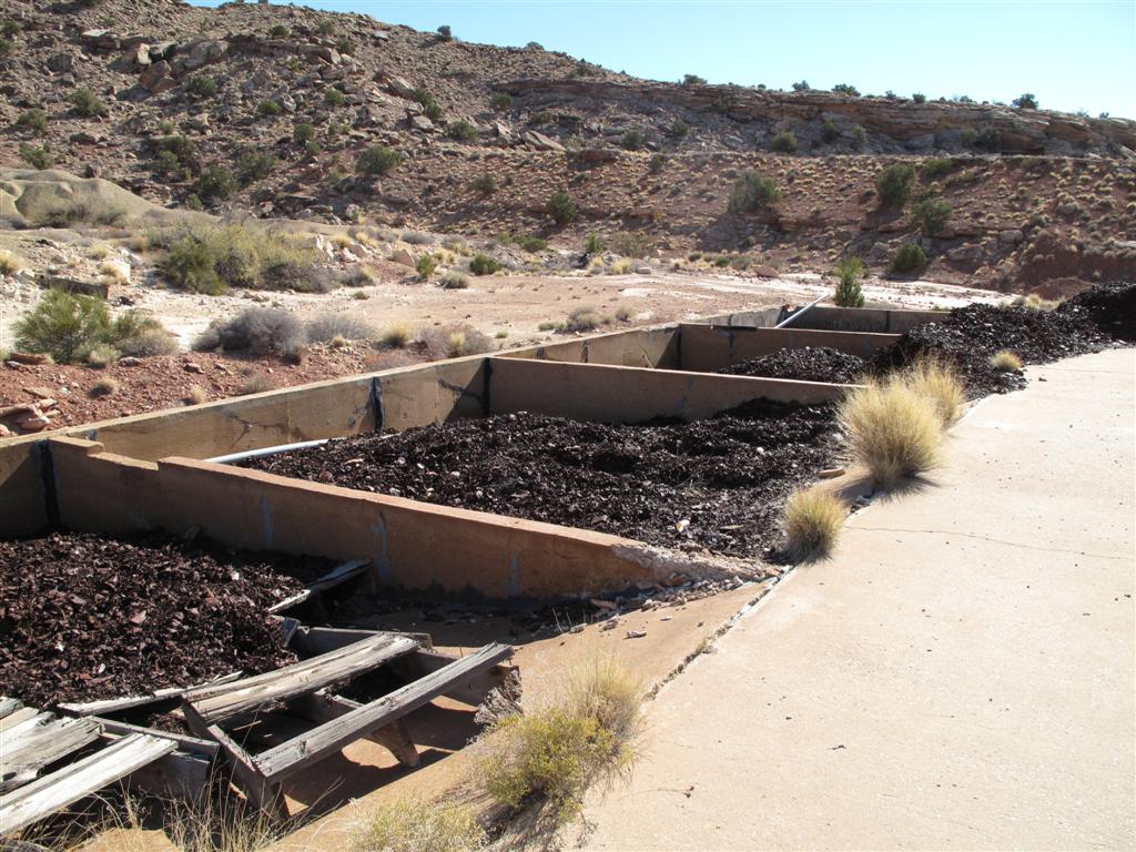 IMG_4386 (Large).JPG IMG_4386 (Large).JPG